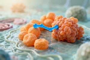 A Tiny Peptide Can Freeze Parkinson's Proteins Before They Turn Toxic - Professional coverage