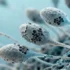 Age-Related Sperm Mutations: The Hidden Genetic Legacy Fathers Pass to Children