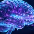 OpenAI Leads Consumer AI Usage While Google Dominates Overall Token Volume