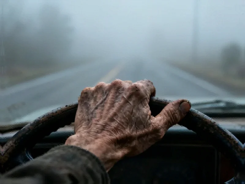 U.S. Auto Industry Navigates Uncharted Waters with Surprising Adaptability - Professional coverage