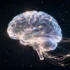 Academic Integrity Crisis Deepens as Fabricated AI Research Infiltrates Scientific Journals - Professional coverage