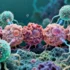 Breastfeeding Imprints Lasting Immune Memory That Shields Against Aggressive Breast Cancers - Professional coverage