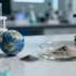 Deep-Sea Discoveries Unveil Almond-Sized Crab and Biolumines - Exploratory Voyage Uncovers Marine Marvels Australian marine r