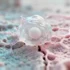 Revolutionary Gene Silencing Technique Reprograms Human Immu - Breakthrough in Epigenetic Engineering of T Cells Scientists h