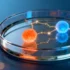 Gut Microbes' Serotonin Production Emerges as Potential IBS - Revolutionary Discovery in Gut-Brain Axis Research In a ground