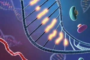 Scientists Develop New Method to Control Genome Architecture - Breakthrough in 3D Genome Research Scientists have developed a