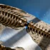 Ultra-Fast Genome Sequencing Transforms Neonatal Care with Same-Day Results