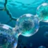 Ocean Microbe Rivalries Unlock Secrets for Sharper Climate P - The Hidden World Driving Climate Change Beneath the waves of t