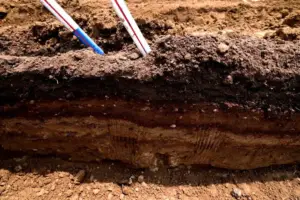 AI's Water Problem Is About to Hit Your Dinner Plate - Professional coverage