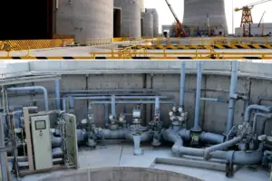 Can Washington Actually Handle Competent People? - Professional coverage